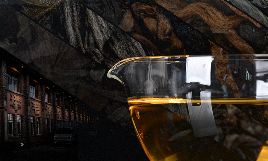 选茶看品质底蕴，哪些专业因素决定了普洱茶品质？